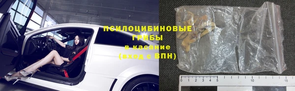 молекула духа Покачи