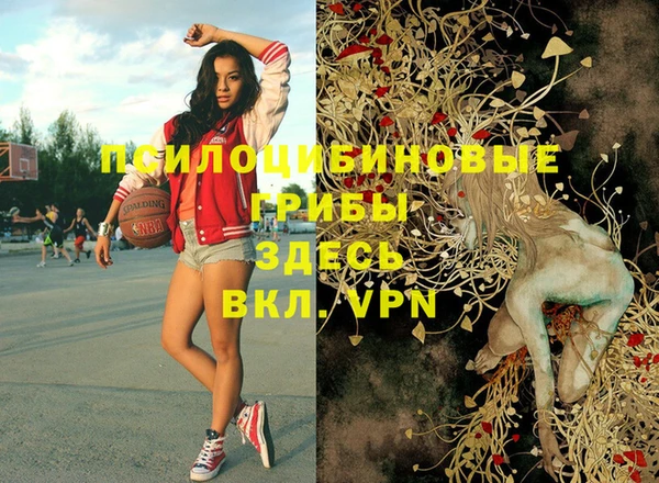 кокаин премиум Алексеевка