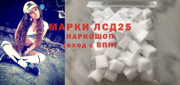 ГАЛЛЮЦИНОГЕННЫЕ ГРИБЫ Абаза