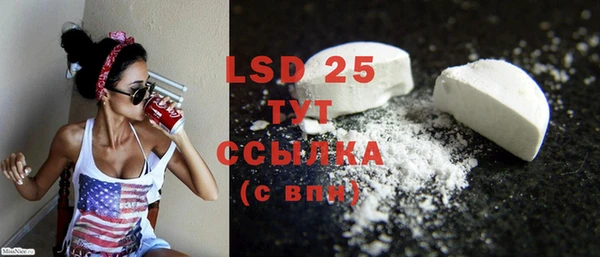 ГАЛЛЮЦИНОГЕННЫЕ ГРИБЫ Абаза